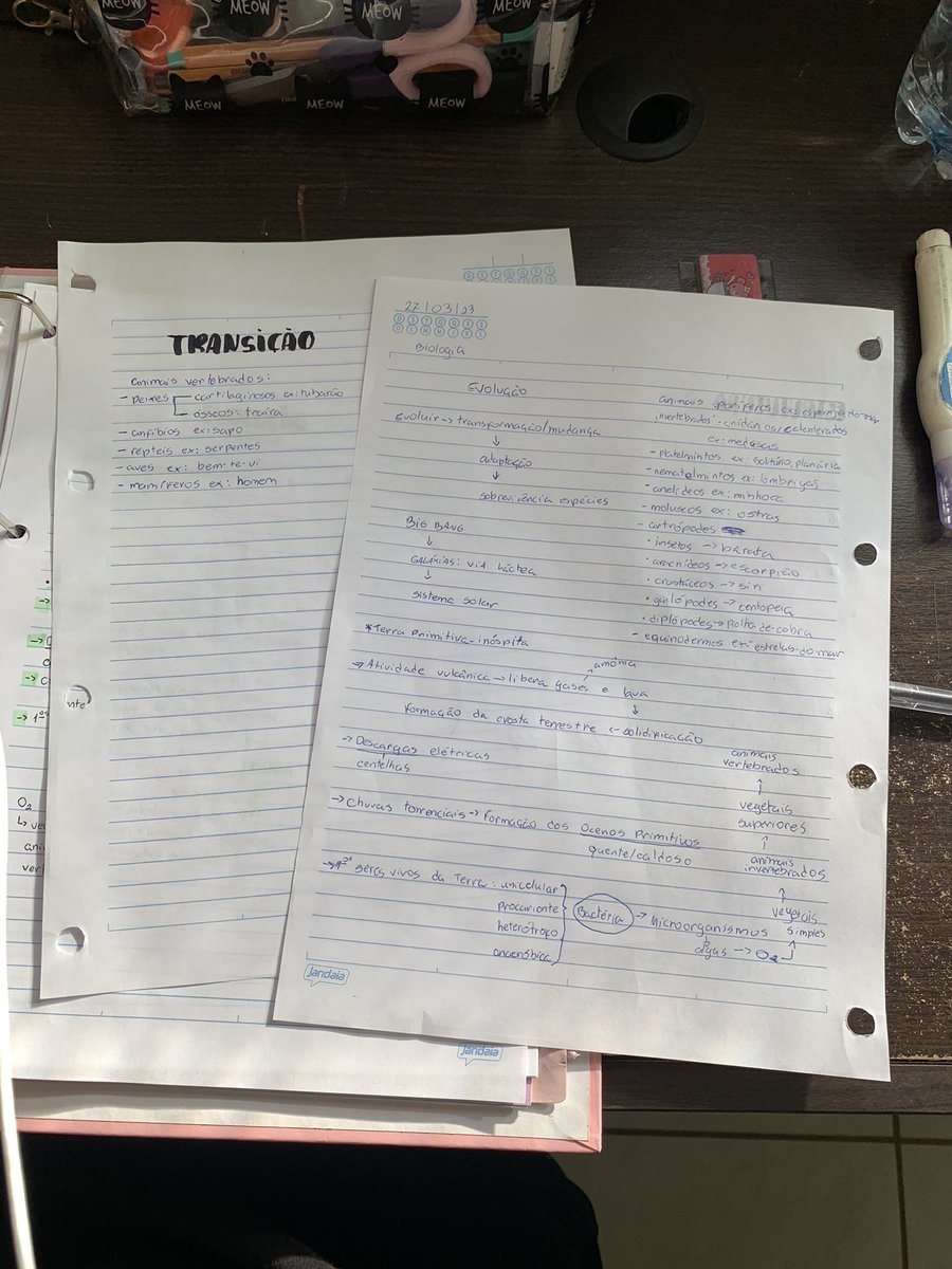 i87mi's tweet image. anotação em aula // anotação final 💚