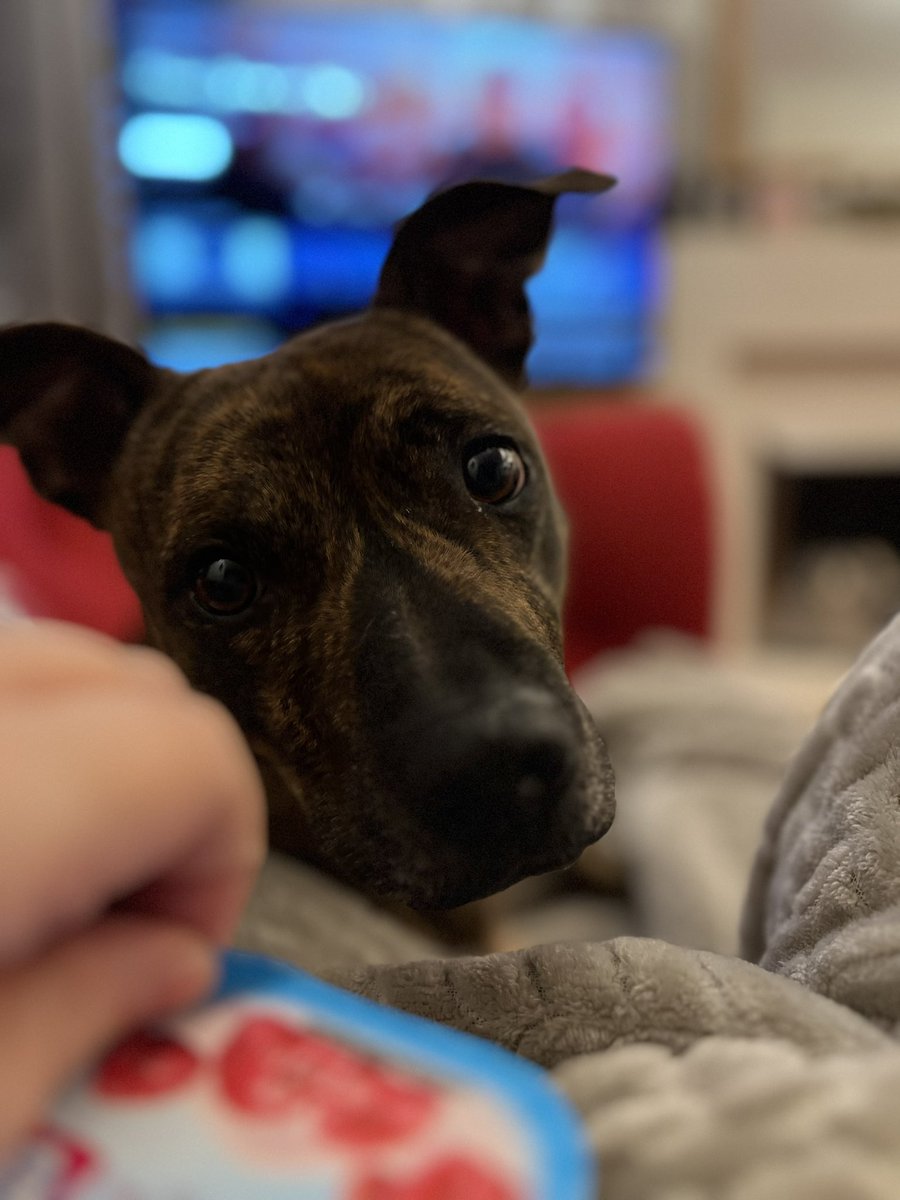 Yoghurt please mum #HappyMonday