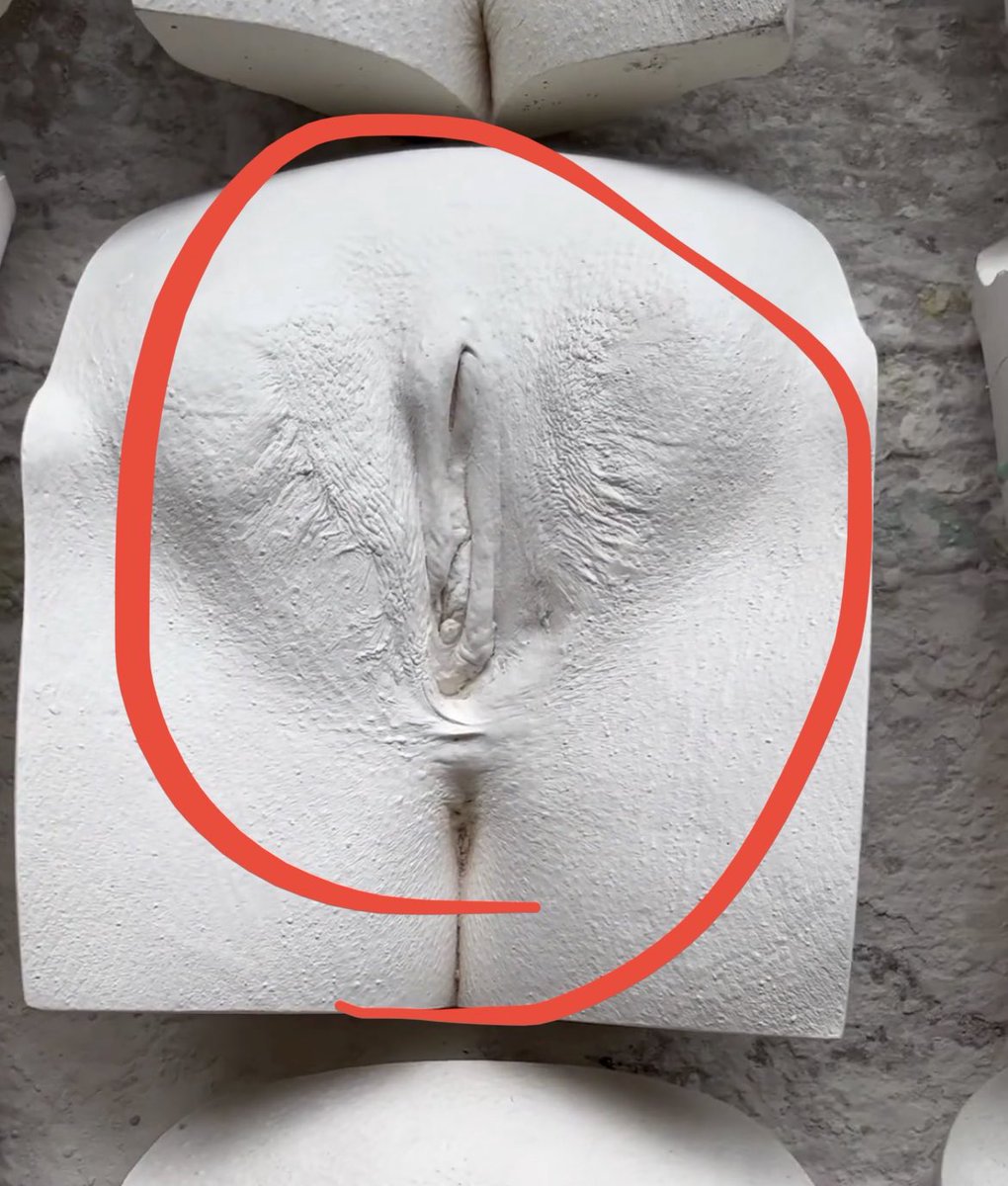 jess_ann_pin's tweet image. No cis women look like this naturally. 

It is not anatomically possible. 

This is why I can’t just drop this. 

I cannot tolerate this level of ignorance about vulvas or people telling me I’m wrong when I’m correct about anatomical reality. 

Ignorance of anatomy harms.