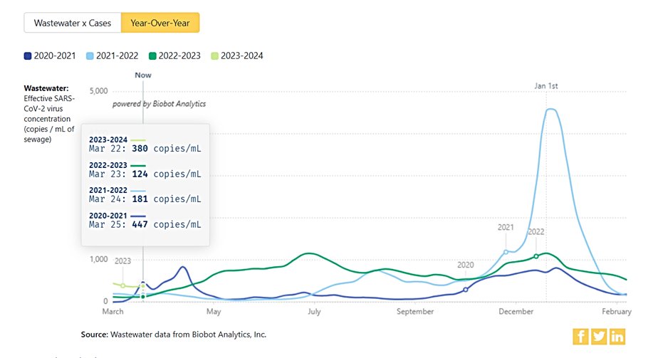 michael_hoerger's tweet image. SARS-CoV-2 is presently circulating in the U.S. at higher rates than this time in 2021 &amp;amp; 2022 combined. 

Biobot has several elegant graphs of #COVID wastewater data. Here is their year-over-year figure.

biobot.io/data/