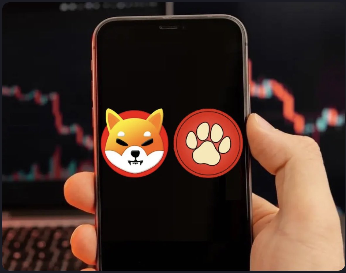 mrgembrain's tweet photo. #PawzoneCommunity, led by #JDtheDev, director at #ShibariumNetwork, and backed by #Shytoshi, is poised to be the biggest #DEFISwap gem on #Blockchain. #Shy opened the Telegram channel and the future looks bright! #Cryptocurrency @PawZoneToken @PawZoneOfficial https://t.co/3My5NhhKBv
