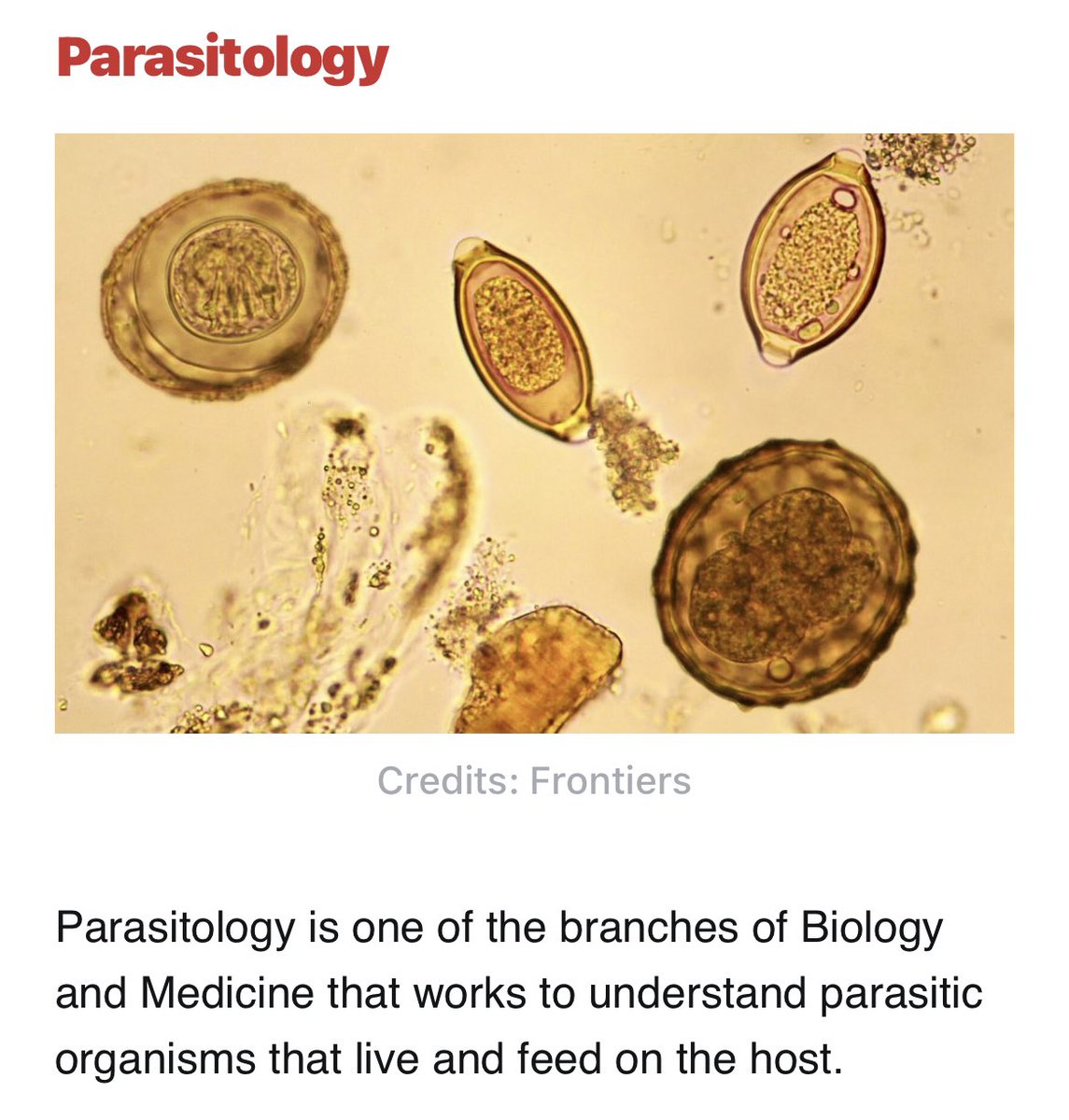Biology1802's tweet photo. ١١-
الصورة البيولوجيه جميلة لأنها تغني عن شرح كتب 📚 https://t.co/ep8M5mp8F9