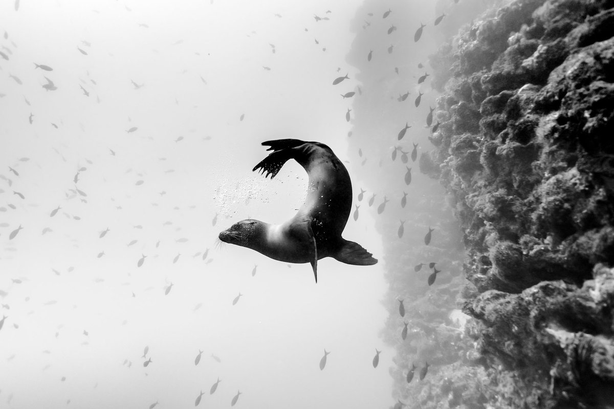 fisher_creative's tweet photo. LAST CHANCE! The Winter Collection is closing March 31. This is your last chance to own one of a kind fine-art prints that give back

Learn more at https://t.co/oDzXWZHz4Y

Photos By:
Christian Vitzzl @christianvizl
Mark Fisher
Stephen Dupont @stephenmdupont
Shazz Jung @shaazjung https://t.co/7LD0sJm5fQ