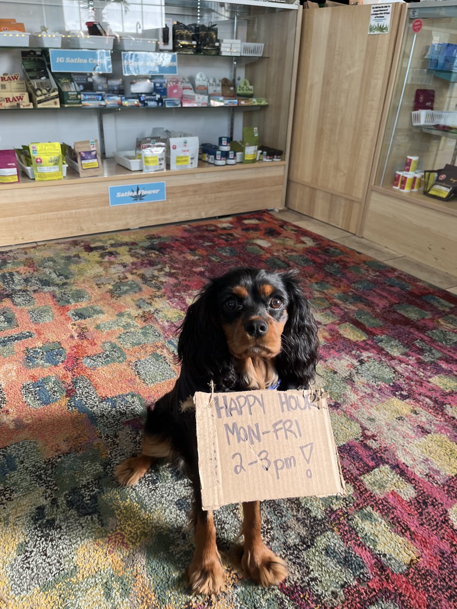 Happy Hour at the shop is every Monday-Friday, 2-3pm! Save on the entire store ;)