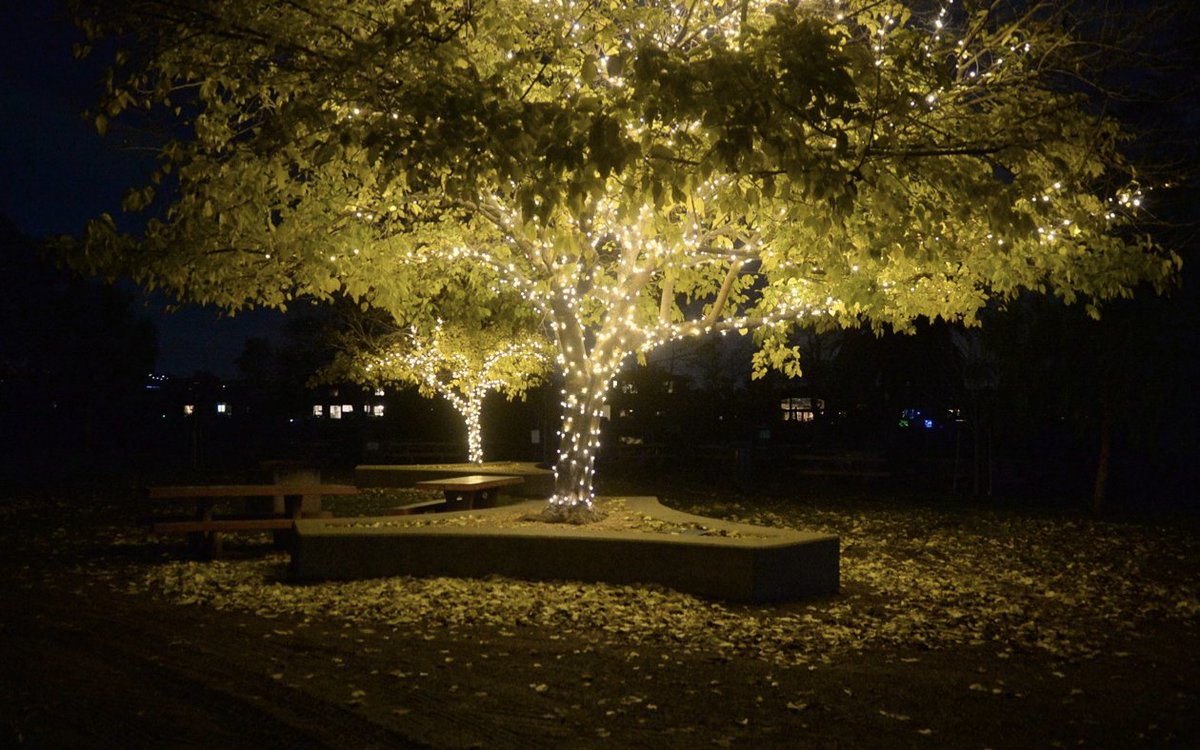 reach_mktingpro's tweet photo. Last December, our team sponsored The Larkspur Tree Lighting Ceremony (tag if possible). We were pleased to have the opportunity to support a local community during a festive time of the year!🎄 https://t.co/3tk7IorrtQ