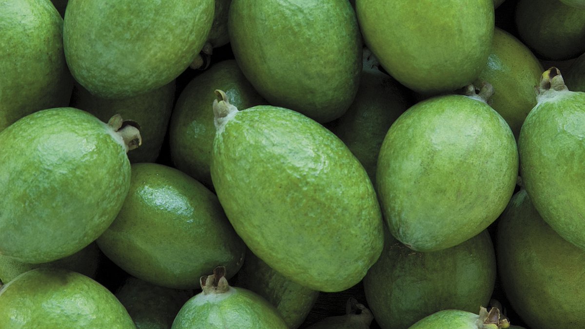 United Fresh NZ Inc. tweet media