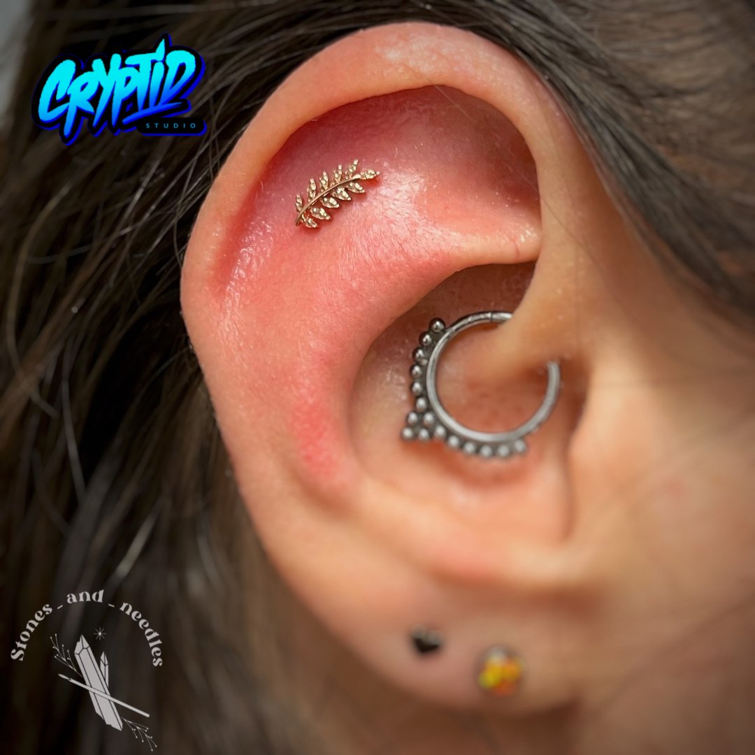 cryptid_studio's tweet image. Perçage &quot;flat&quot; par @stones_and_needles avec un bijou de @junipurrjewelry
Pour prendre rendez-vous, visitez: cryptidstudio.as.me

@stilettopiercingsupplies @stilettopiercingsuppliescanada @purklenz @neilmedpiercingaftercare 

#piercing2me #mtlpiercer #adornment