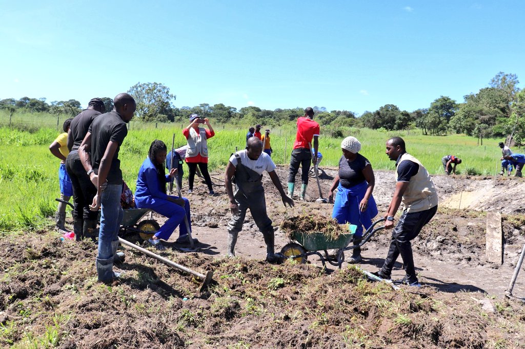 FAO Zambia tweet media