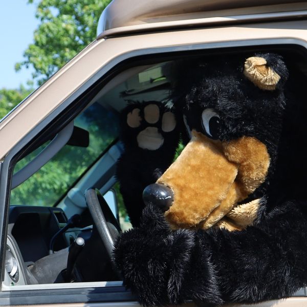 Massanutten Resort tweet media