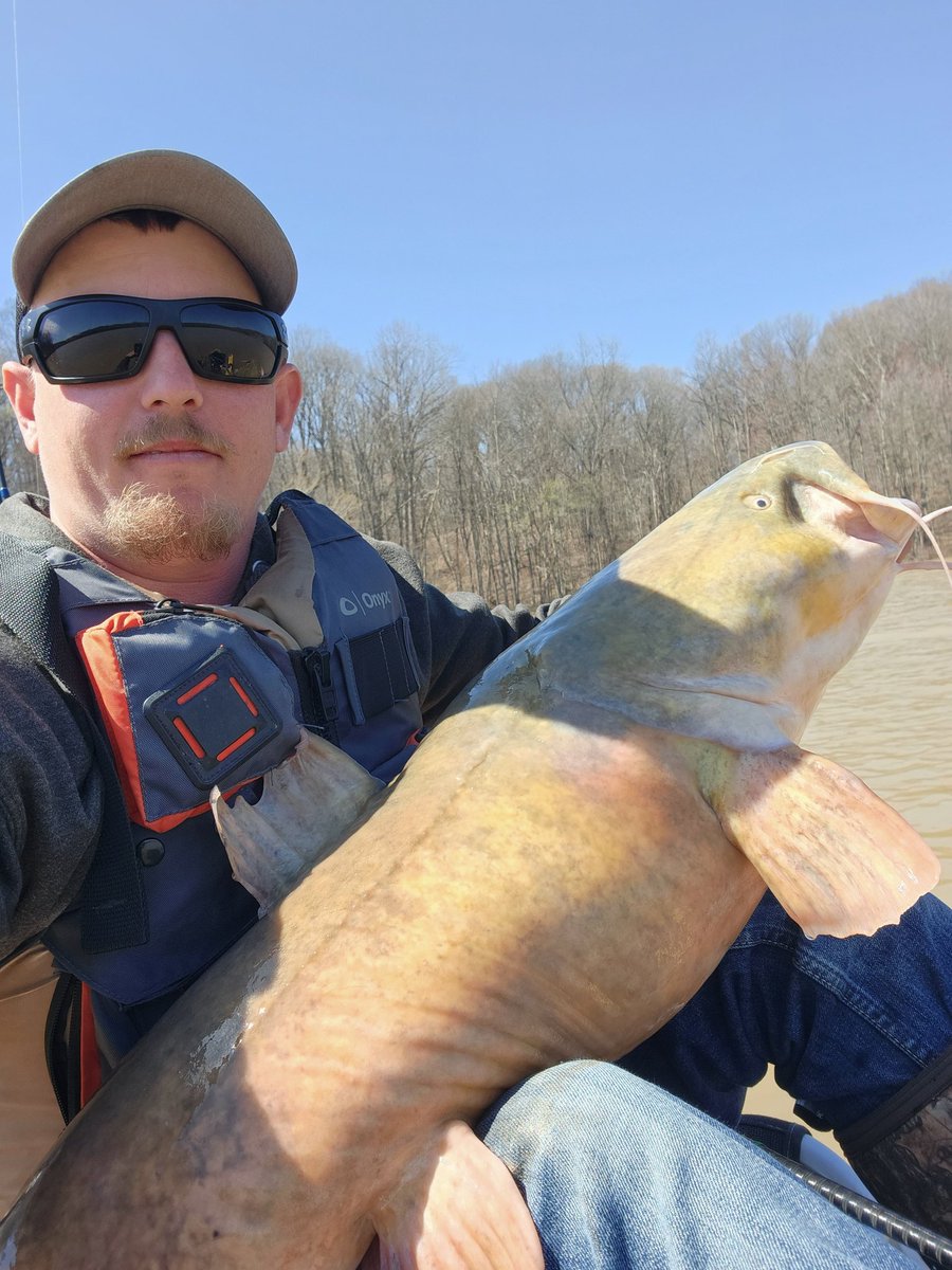 JCEngland89's tweet photo. Caught my pb flathead catfish while bass fishing yesterday on a ned rig and 8lb test line. https://t.co/0p5x1QXE6m