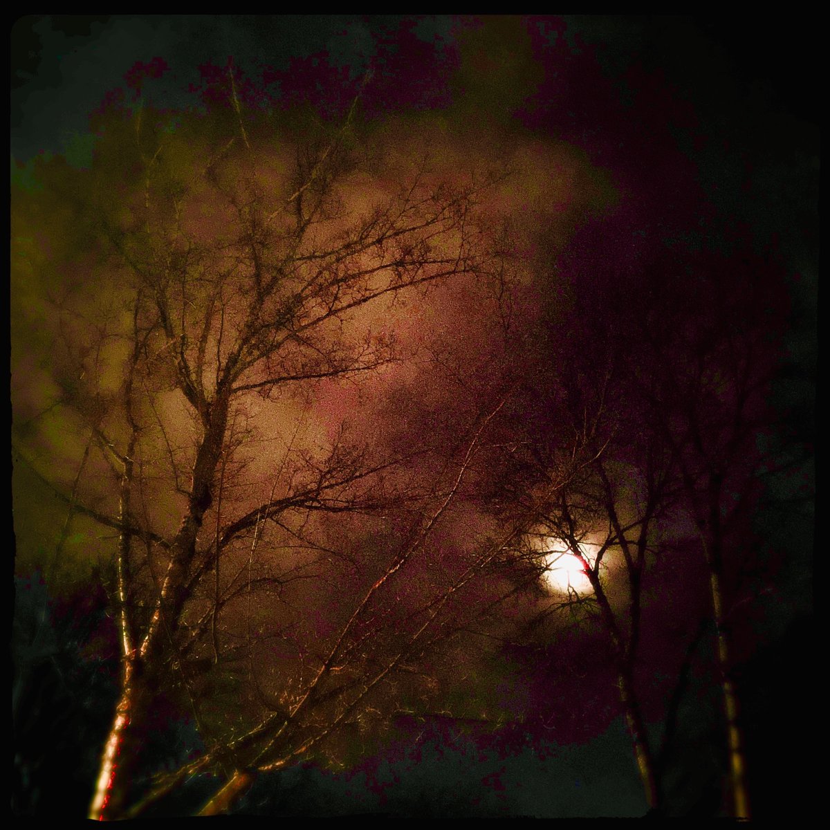 sdetroy's tweet photo. Today is #nftmintmonday
Join with other #nftartists sharing their #NFTs
My latest mints are @Hipstamatic https://t.co/Pl0qV2sZuB