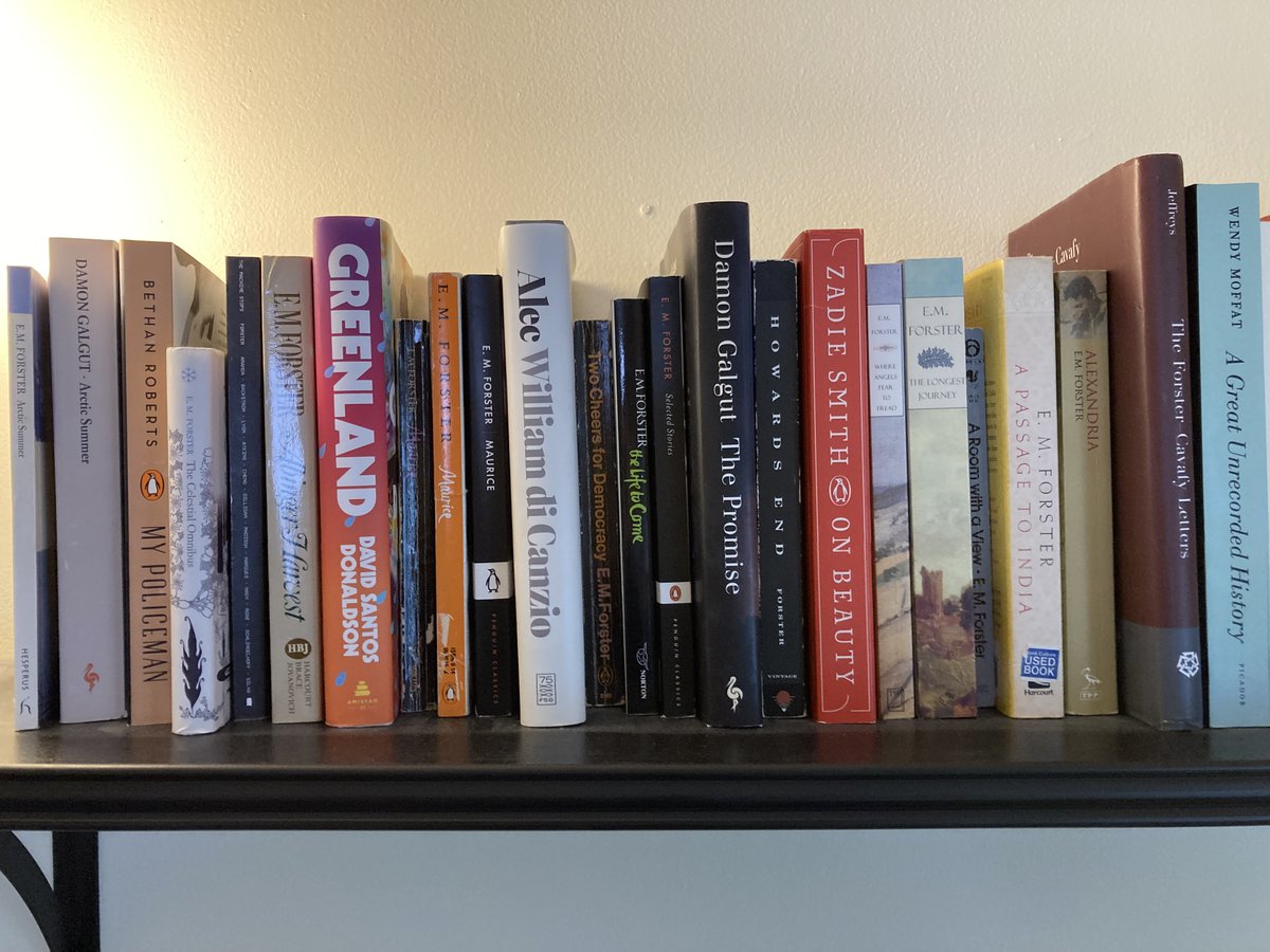 HMEditorial's tweet photo. @emforsters I love your E.M. Forster shelf! Here's mine: https://t.co/mCUROPPfqO