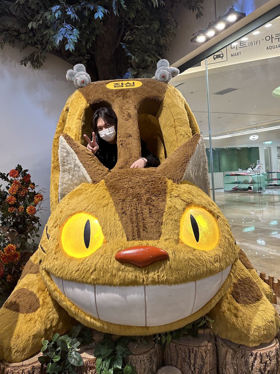 shotasw0rld's tweet photo. im late but theo, seob, and i stay together in the cat bus 🫶🏼#P1SD #THEO #JONGSEOB #P1Harmony #P1HSD @P1H_members @P1H_official https://t.co/XpvblMMgI0