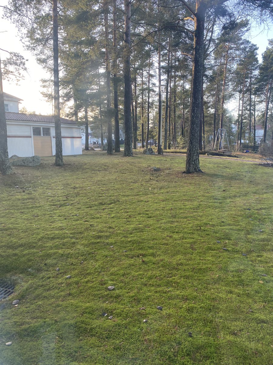 Lensku's tweet photo. @Tiina_P Kieltämättä tätä tammikuista maisemaan kaipaa nyt! https://t.co/MfeFx3or32