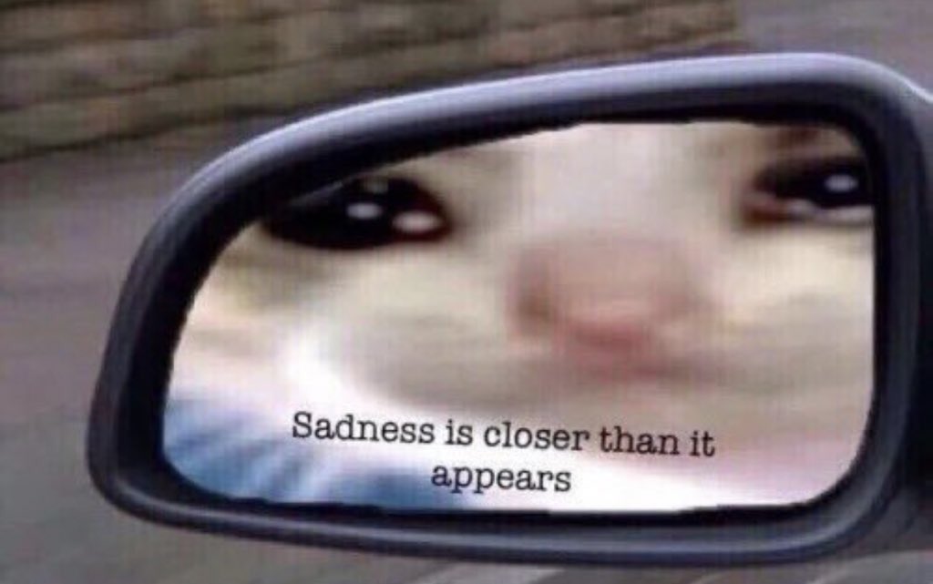 your last selfie is who you are on the outside
your last meme is who you are on the inside