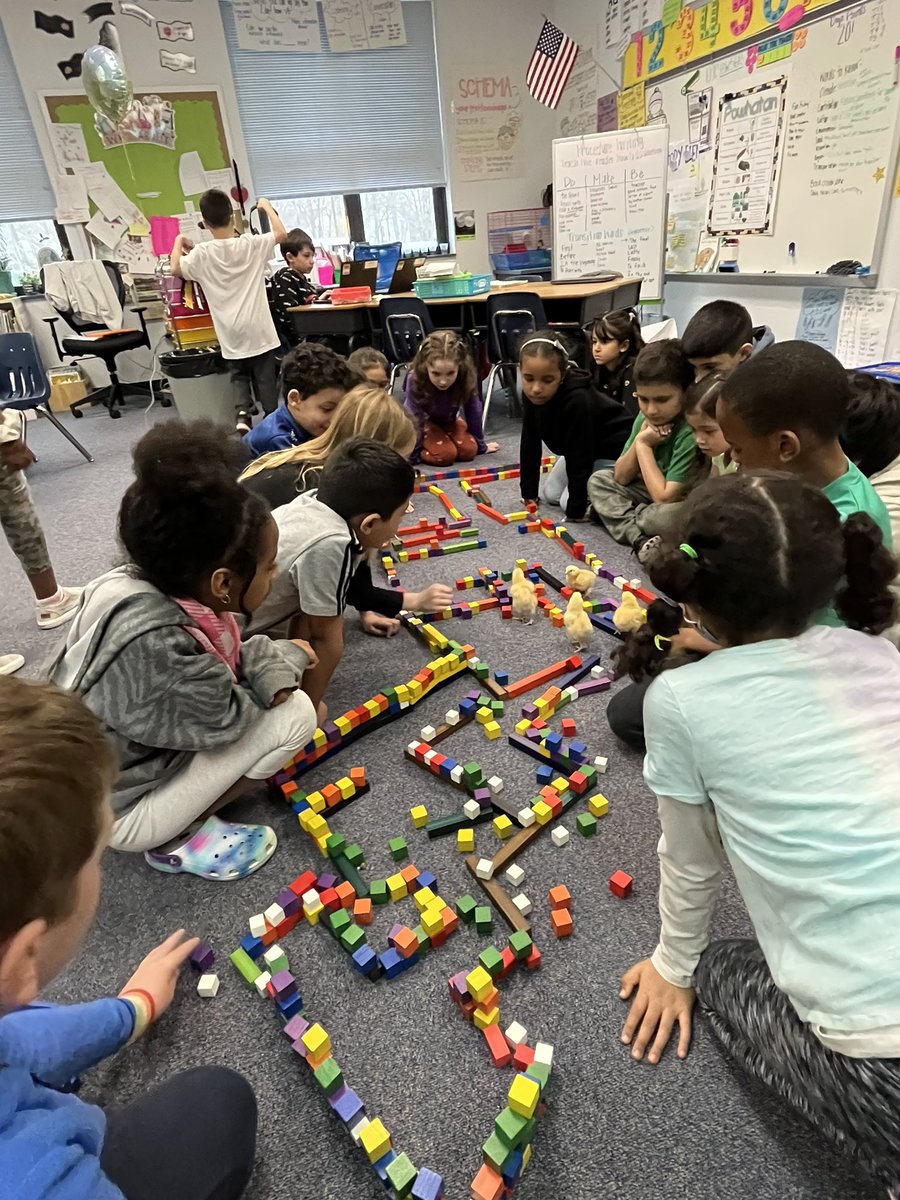 MsVH2ndgrade's tweet photo. We love the PWCS 4H embryology program! Students made multiple mazes for the chicks. Sometimes they would not stay in. 🤪They joined us for multiple morning meetings. 🫶🏼 I know my student will never forget this amazing experience.💗 https://t.co/z846EklMAZ