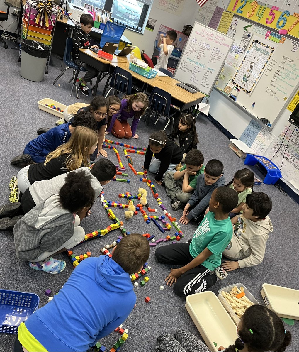 MsVH2ndgrade's tweet photo. We love the PWCS 4H embryology program! Students made multiple mazes for the chicks. Sometimes they would not stay in. 🤪They joined us for multiple morning meetings. 🫶🏼 I know my student will never forget this amazing experience.💗 https://t.co/z846EklMAZ