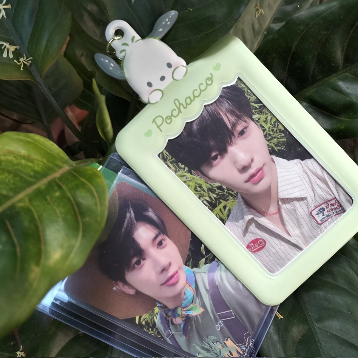 sulhyemucartz's tweet photo. 🛒 from @0X1S0DE #frommiro
Thank you so much for hosting the hatian! One of my soob prios finally came home 🥹❤️
#frommiro https://t.co/zvOxNKWNg9