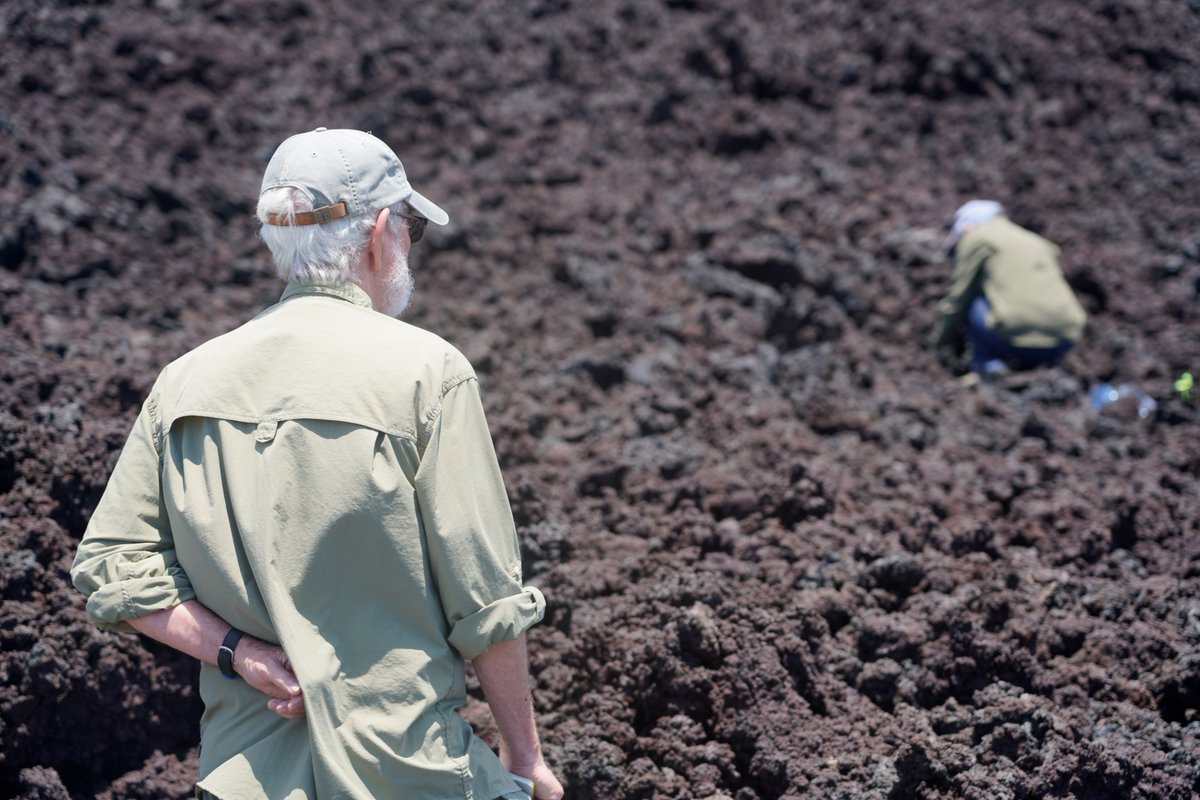 bugsexthedoc tweet media