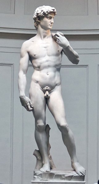 alexytyler's tweet photo. To all the idiots and primates who are offended by this...get a life! #thedavid #Renaissance #art https://t.co/8oPSQWlGbw