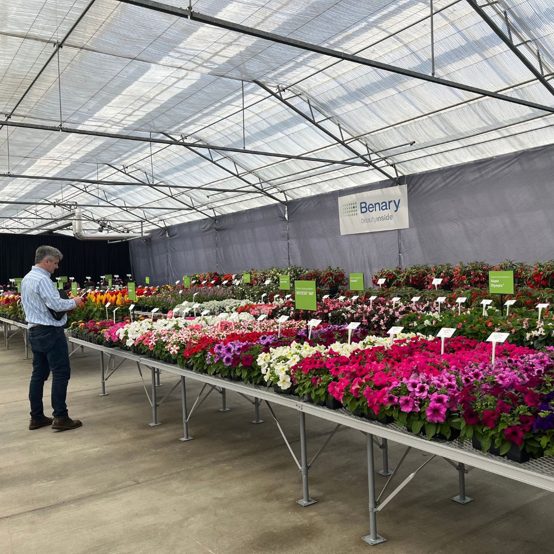 MetrolinaGHS's tweet photo. We’re packing our raincoats and boots, and getting ready to travel to the West Coast this week for #CaliforniaSpringTrials! Come along and #travel with us as we check out new #flower varieties! 1/4 https://t.co/ZcUn4fS3RV
