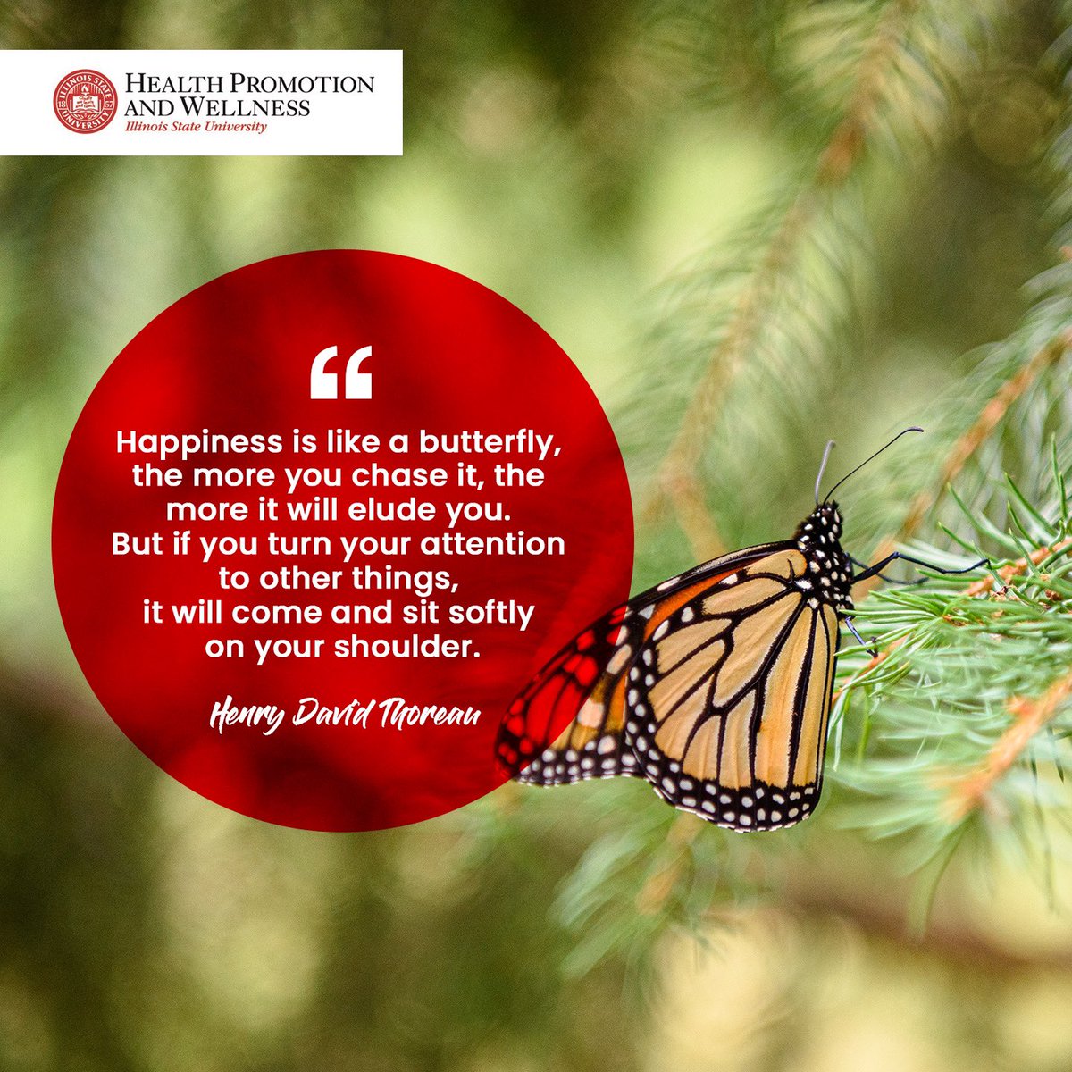 Redbird Well tweet media