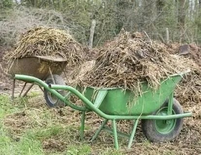 Manure Examples FARM LESSON: ORGANIC MANURES (Definition, Examples and Advantages): (a ...