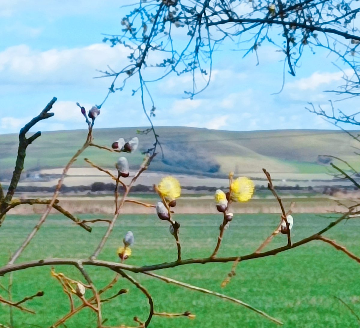 LibraryRodmell's tweet image. Good evening from Rodmell. Spring is everywhere! I'm hoping for some new donations. Publishers, authors, kind souls – if you'd like to see your book on the library shelves, please get in touch. Thank you. Get in touch anyway, if you like! Exciting news is coming...