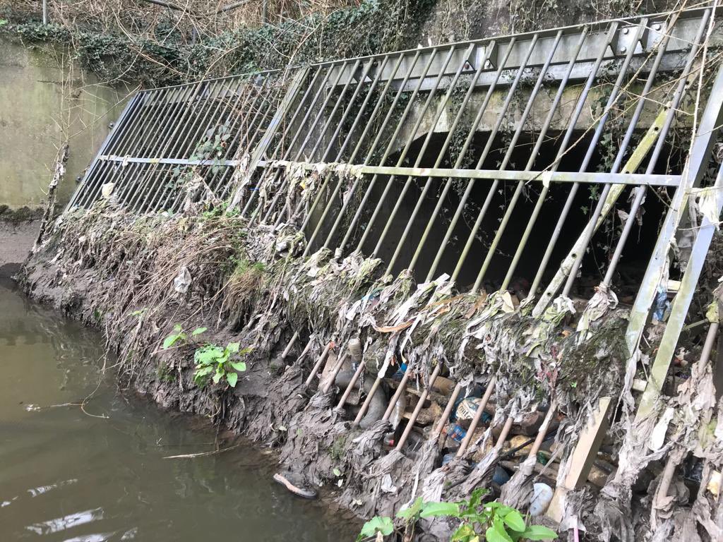 Prof Jamie Woodward tweet media