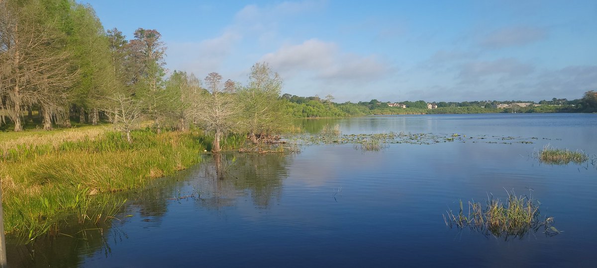 Robin Williams (she/her/hers) tweet media