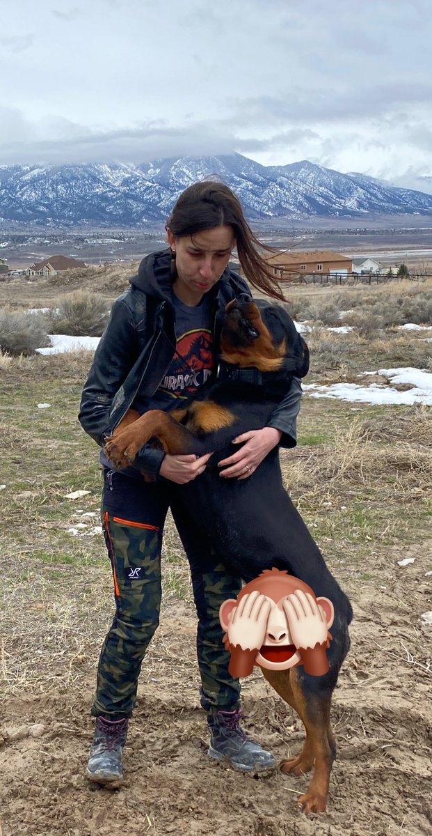 My boy here is almost as heavy as me yet still is convinced that the correct place for him is IN MY ARMS — he’s super pleased with himself every time he finds a way to accomplish his mission 🤦🏻‍♀️🐾
