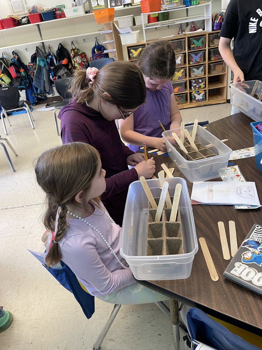 Planting with our K buddies! <a href="/JBWatkinsES/">JB Watkins ES</a> @CCPSGIFTED #minermoments