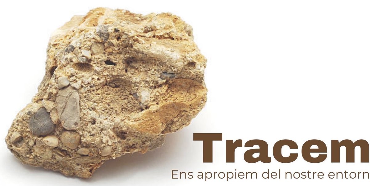 inscanoriac's tweet photo. Aquestes són les quatre propostes de #projectestransversals durant tota la setmana a l’@inscanoriac.
#Tracem a 1r, #MensSanaInCorporeSano a 2n, #UBUNTUv3 a 3r i #PdRFiradeRecerca a 4t.
De nou capgirem l'institut! Com diu la
@lauragbayan: “És un no parar”. #muntanyarussa #lof https://t.co/hNquIDOIh4