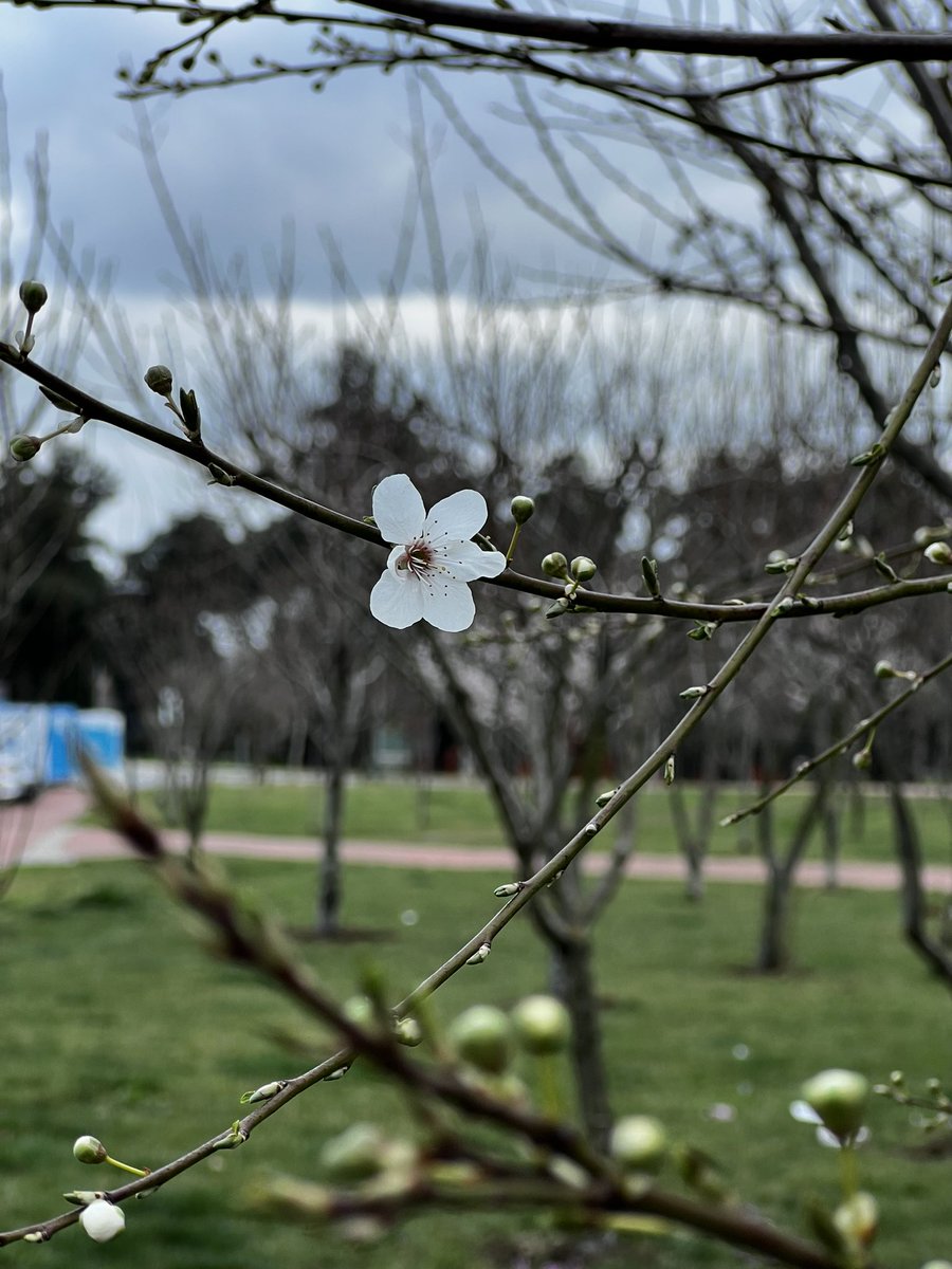 “Kötülükleri bitiremeyiz ama iyilikleri çoğaltabiliriz.”

Sezai Karakoç

#Objektifimden