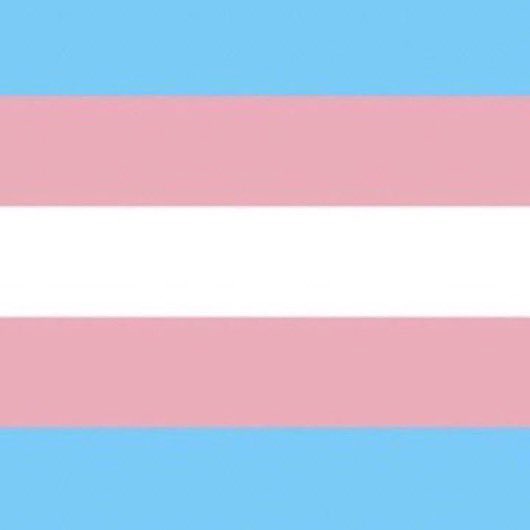 these characters are trans 🇵🇸🏳️⚧️ tweet media