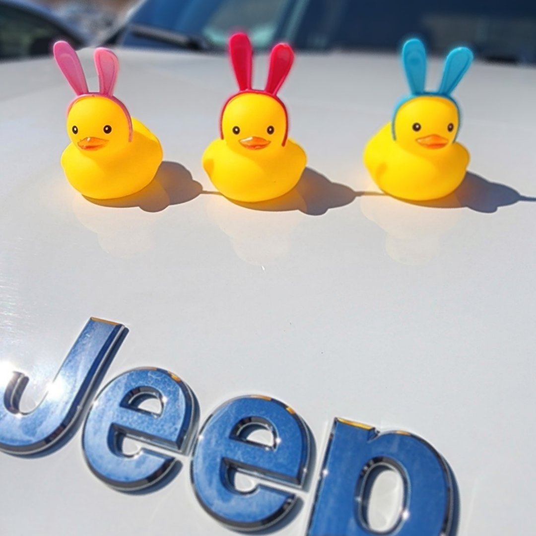 🦆🐰By popular request by all you Jeep Duckers out there... these ducks are undercover for Easter! Limited numbers available and when they're gone, they're gone. ss1.us/a/sU6M900g