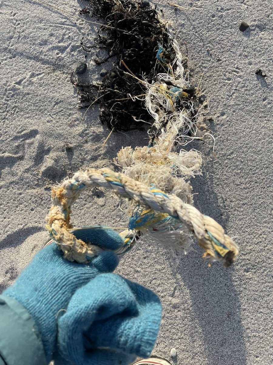 SuilanSpink's tweet photo. #Todays #Beach was swept clean #spring #erosion still #ADLFG 95% #Polystyrene #packagingdesign needs to #change @BillTurrell1 @sascampaigns @mcsuk @ScotIslandsFed @nature_scot @KIMOUKandFFL @PlymUni besides returning to #Natural #Fibres for #ropes. #Plastic all #disintegrating 🤦🏽♀️ https://t.co/qVQHUo5q3F