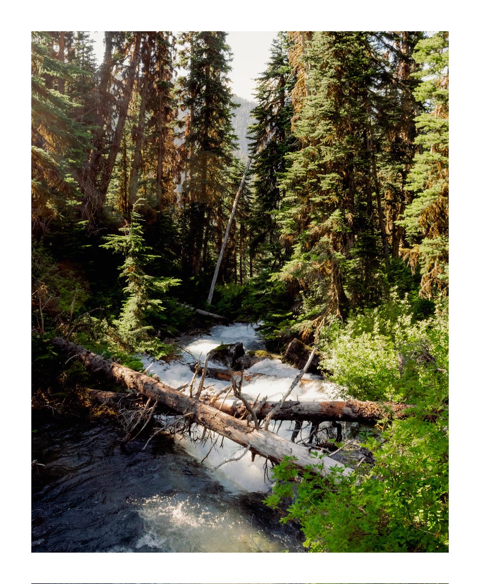 would rather be here right now