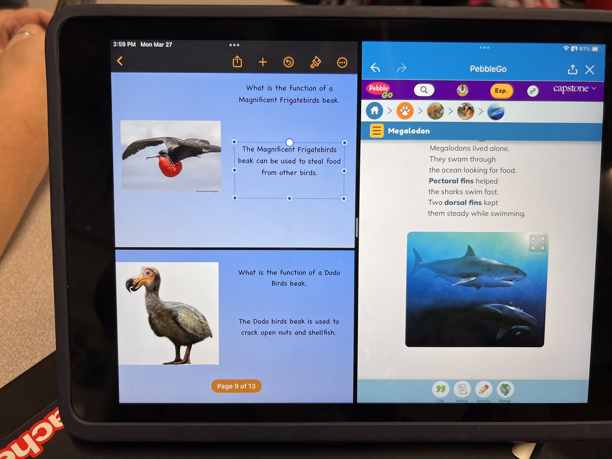 Heidi Morgan tweet media