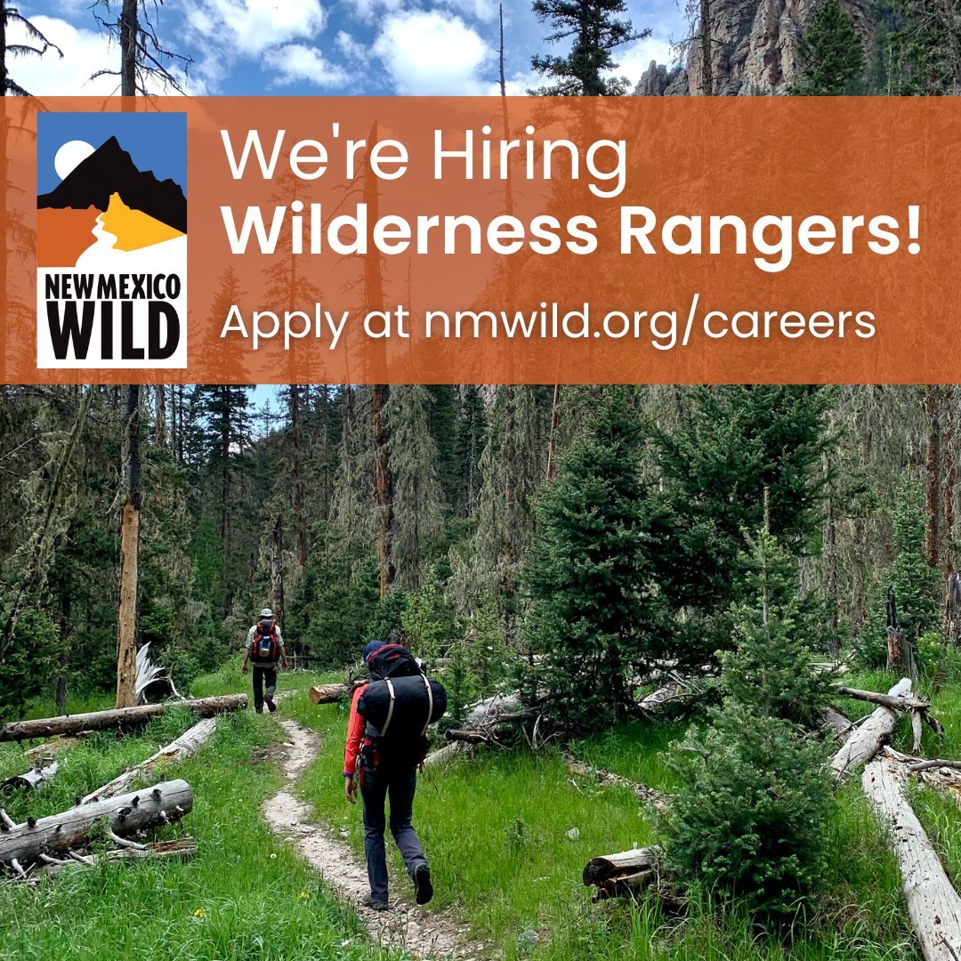 🥾 NOW HIRING: we're looking for several Wilderness Rangers to join our team in New Mexico! Learn more & apply at nmwild.org/careers

#conservationjobs #nonprofitjobs #newmexico #nmtrue #jobsoutside #environmentaljobs #seasonalwork