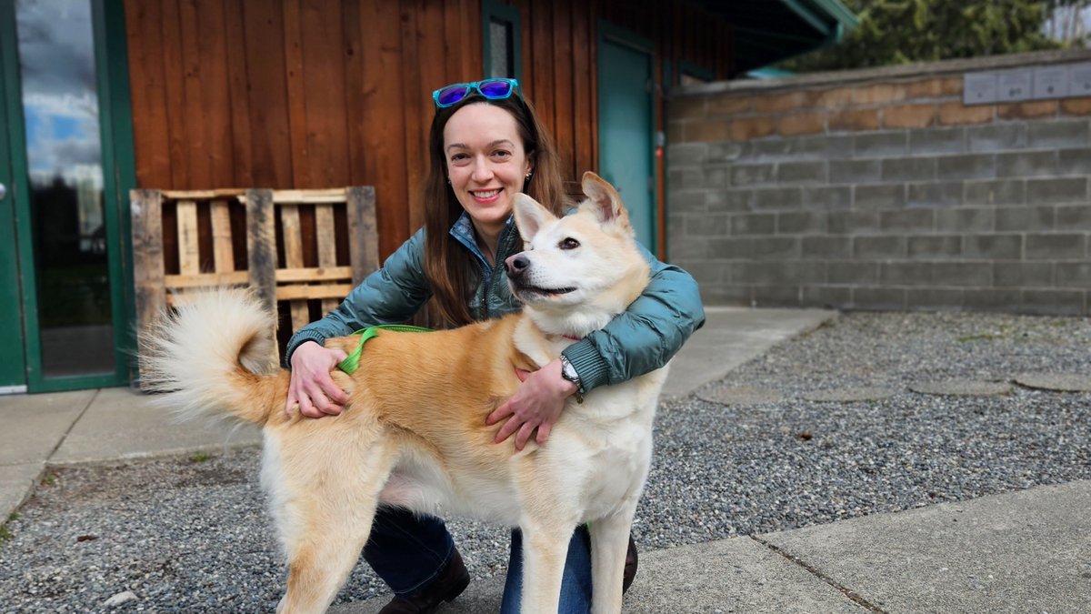 The NOAH Center tweet media