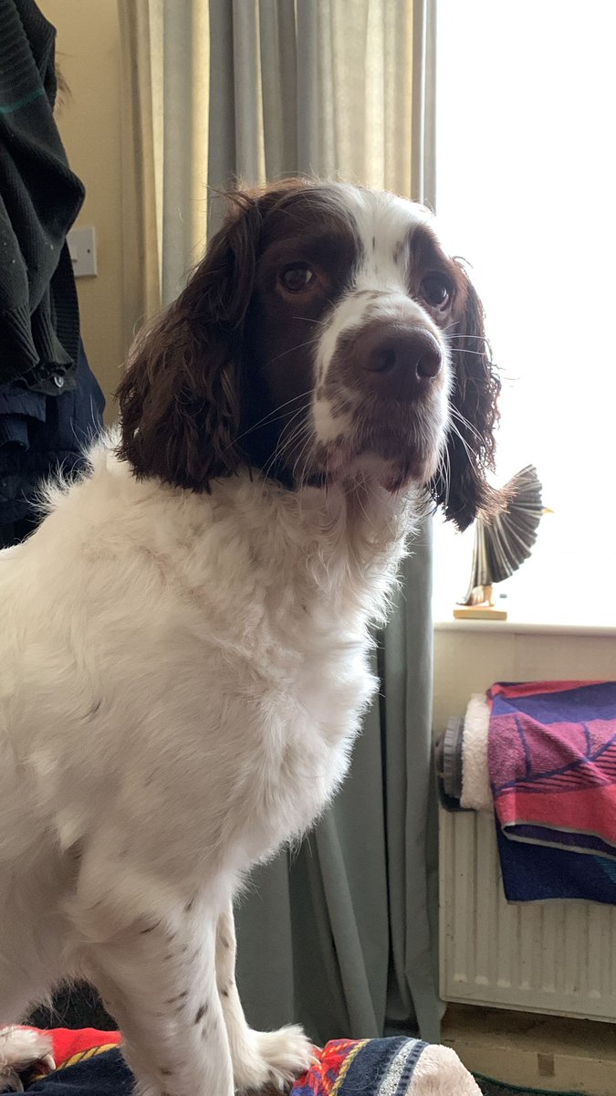 Movie watch tweet media