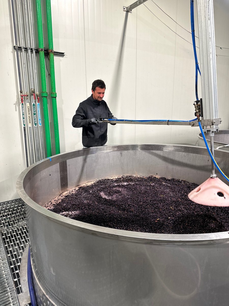 Action in the red wine cellar.  Music is pumping and @Marta and @Goncalo are plunging and are hands on.  There is a lot of Portuguese happiness in the cellar for 2023.  Part of the Sogrape Vinhos SA family here in New Zealand...home away from home.