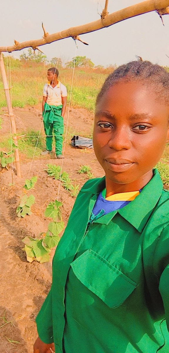 badmuszain's tweet photo. Farm Practical Year/Industrial Training is officially over at the Federal University of Agriculture, Abeokpta. #FUNAAB. Final stage loading...........
#agriculture
#plantgenetics
#Plantbreeding
#finalstage https://t.co/rnMYkEk6Z1