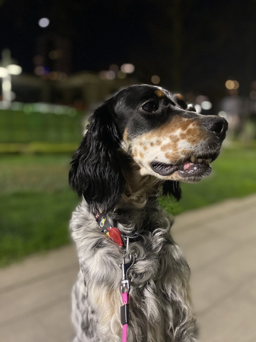 Mevsim Yenice tweet media