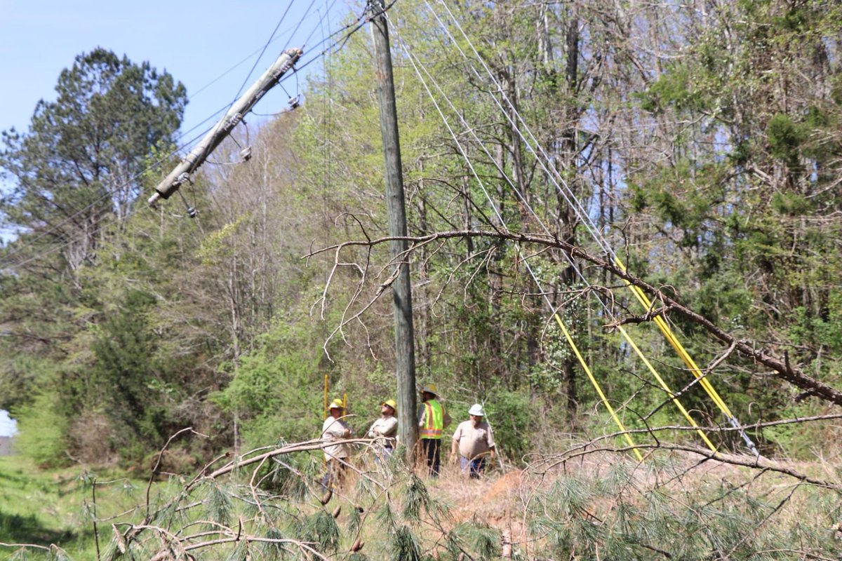 Dixie Electric tweet media