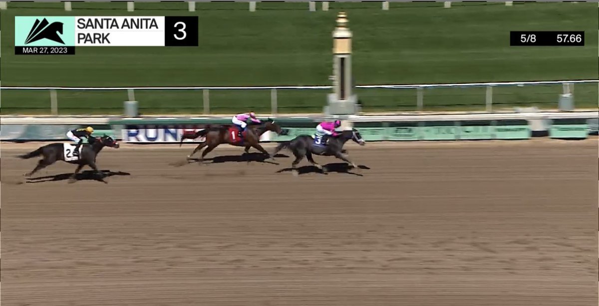 Darwin Vizcaya tweet media