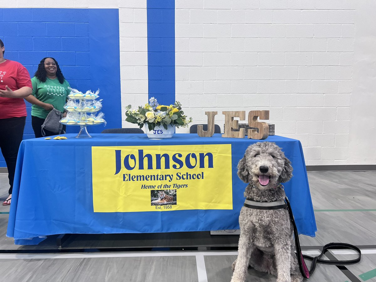 FssdMattie's tweet photo. I had a great week last week! Some play time with my new bff, Ruby, the therapy dog at our FSSD Central Office. I met some GREAT people from Manchester City Schools who wanted to know more about our Therapy Dog Program. I finished the week at our FSSD Job Fair! https://t.co/LvuhhBfoEi
