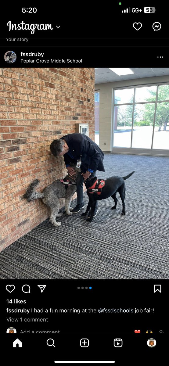 FssdMattie's tweet photo. I had a great week last week! Some play time with my new bff, Ruby, the therapy dog at our FSSD Central Office. I met some GREAT people from Manchester City Schools who wanted to know more about our Therapy Dog Program. I finished the week at our FSSD Job Fair! https://t.co/LvuhhBfoEi