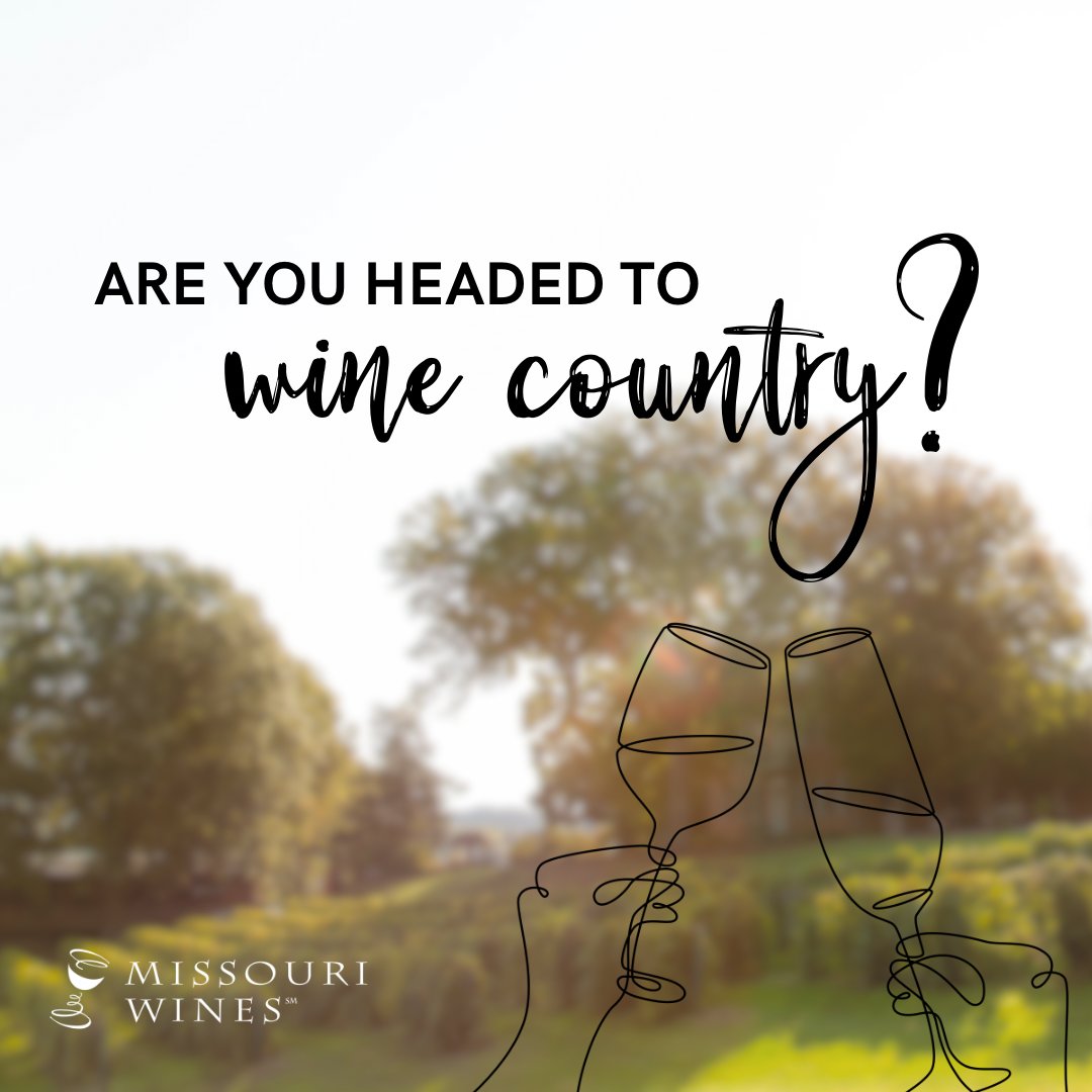 Who is headed to 🍷 wine country soon!? 👋 #DYK that #missouriwine country brings more than 875,700 #tourism visitors 🧳 every year? Whether you live near or far, we hope to see you soon 🥂 <a href="/VisitMO/">Visit Missouri</a> #visitmo